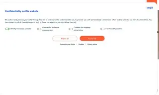 Preview of the Bellerose Case Study