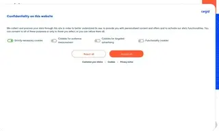 Preview of the Vivienne Westwood Case Study