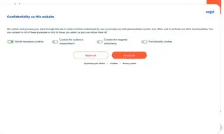 Preview of the Salomon Case Study