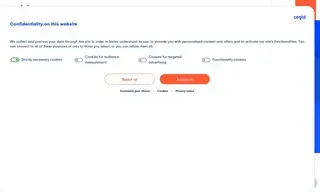 Preview of the The Rossignol Group Case Study