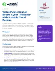 Preview of the Rhondda Cynon Taf County Borough Council Case Study