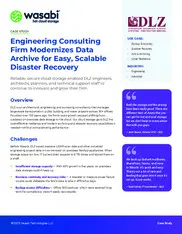 Preview of the DLZ Case Study