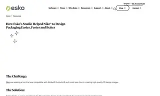 Preview of the Nike Case Study