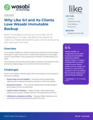 Preview of the Like Srl Case Study