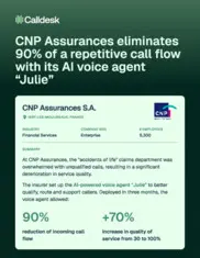 Preview of the CNP Assurances Case Study
