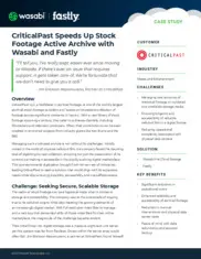 Preview of the CriticalPast LLC Case Study