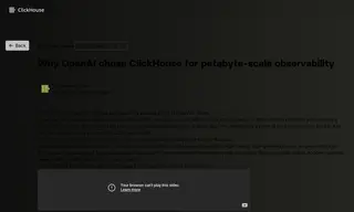 Preview of the OpenAI Case Study