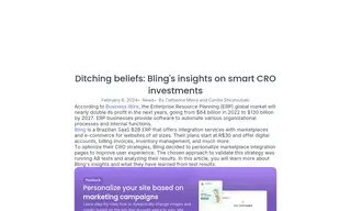 Preview of the Bling Case Study