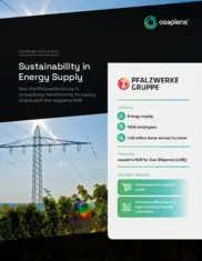 Preview of the Pfalzwerke Group Case Study