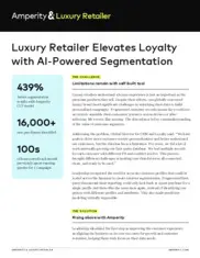 Preview of the Luxury Retailer Case Study