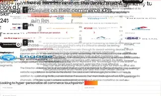 Preview of the US-Based Retailer Case Study