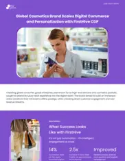 Preview of the Leading Global Consumer Goods Enterprise Case Study