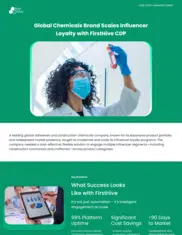 Preview of the Leading Global Adhesives and Construction Chemicals Company Case Study