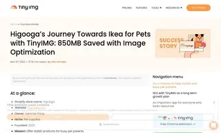 Preview of the Higooga Case Study