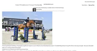 Preview of the Global Equestrian Group Case Study