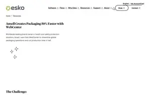 Preview of the Ansell Case Study