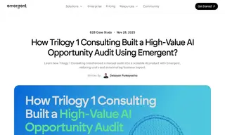 Preview of the Trilogy 1 Consulting Case Study