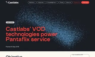 Preview of the PANTAFLIX Case Study