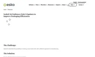 Preview of the Sealed Air Case Study