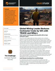 Preview of the Largest Metals and Mining Company Case Study