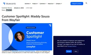 Preview of the Wayfair Case Study