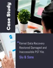 Preview of the Siu & Sons Case Study