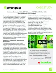 Preview of the Heineken Case Study