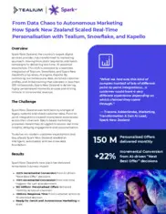 Preview of the Spark New Zealand Case Study