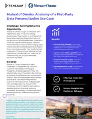 Preview of the Mutual of Omaha Case Study
