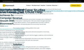 Preview of the IIAA Case Study