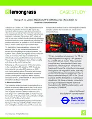 Preview of the Transport For London (TfL) Case Study