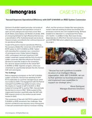 Preview of the Yancoal Case Study