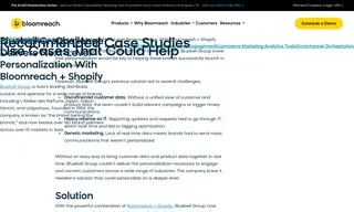 Preview of the Bluebell Group Case Study