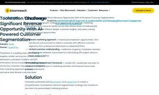 Preview of the Toolstation Case Study