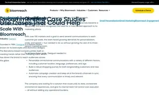 Preview of the Desigual Case Study