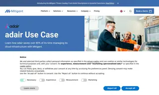 Preview of the Adair Case Study