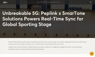 Preview of the SmarTone Solutions Case Study