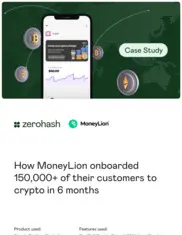 Preview of the MoneyLion Case Study