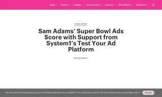 Preview of the The Boston Beer Company Case Study