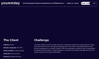 Preview of the Large Travel Company Case Study