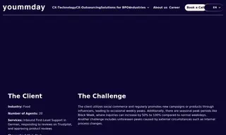 Preview of the Large e-Commerce Company Case Study