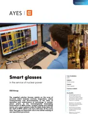 Preview of the CEZ Group Case Study