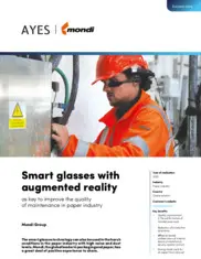 Preview of the Mondi Case Study