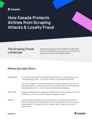 Preview of the Multi-Billion Dollar Airline Company Case Study