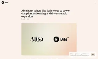 Preview of the Alisa Bank Case Study