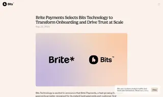 Preview of the Brite Payments Case Study