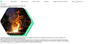 Preview of the RHI Magnestia Case Study