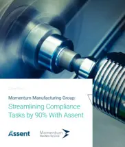 Preview of the Momentum Manufacturing Group Case Study