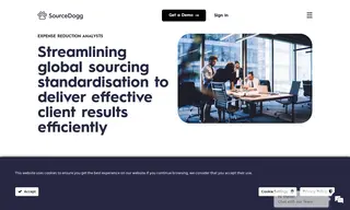 Preview of the Expense Reduction Analysts Case Study