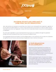 Preview of the Telephone-Based Payments Company Case Study